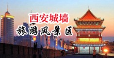 大肉棒操的我好爽视频中国陕西-西安城墙旅游风景区